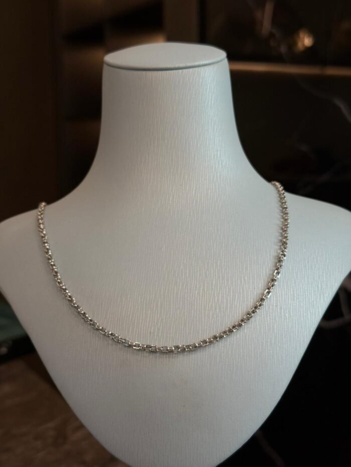 6EmpMeVARNWiVnXVoKeH EZEIA White Gold Chain - Image 1